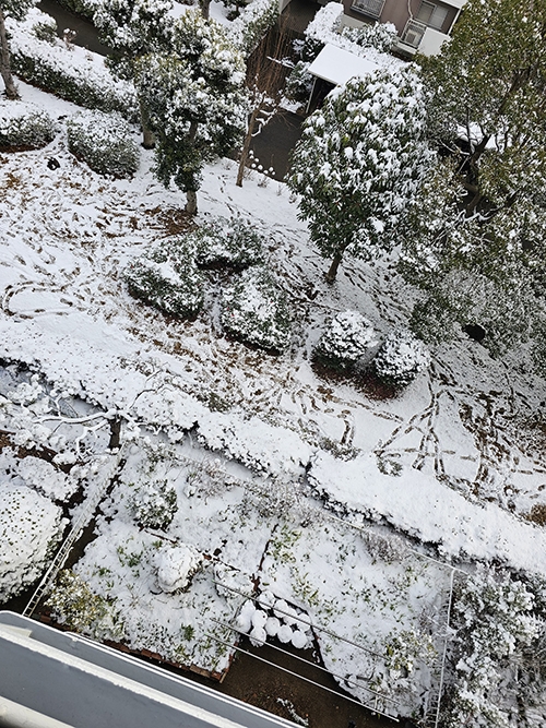 20260208_150607 のコピー.jpg