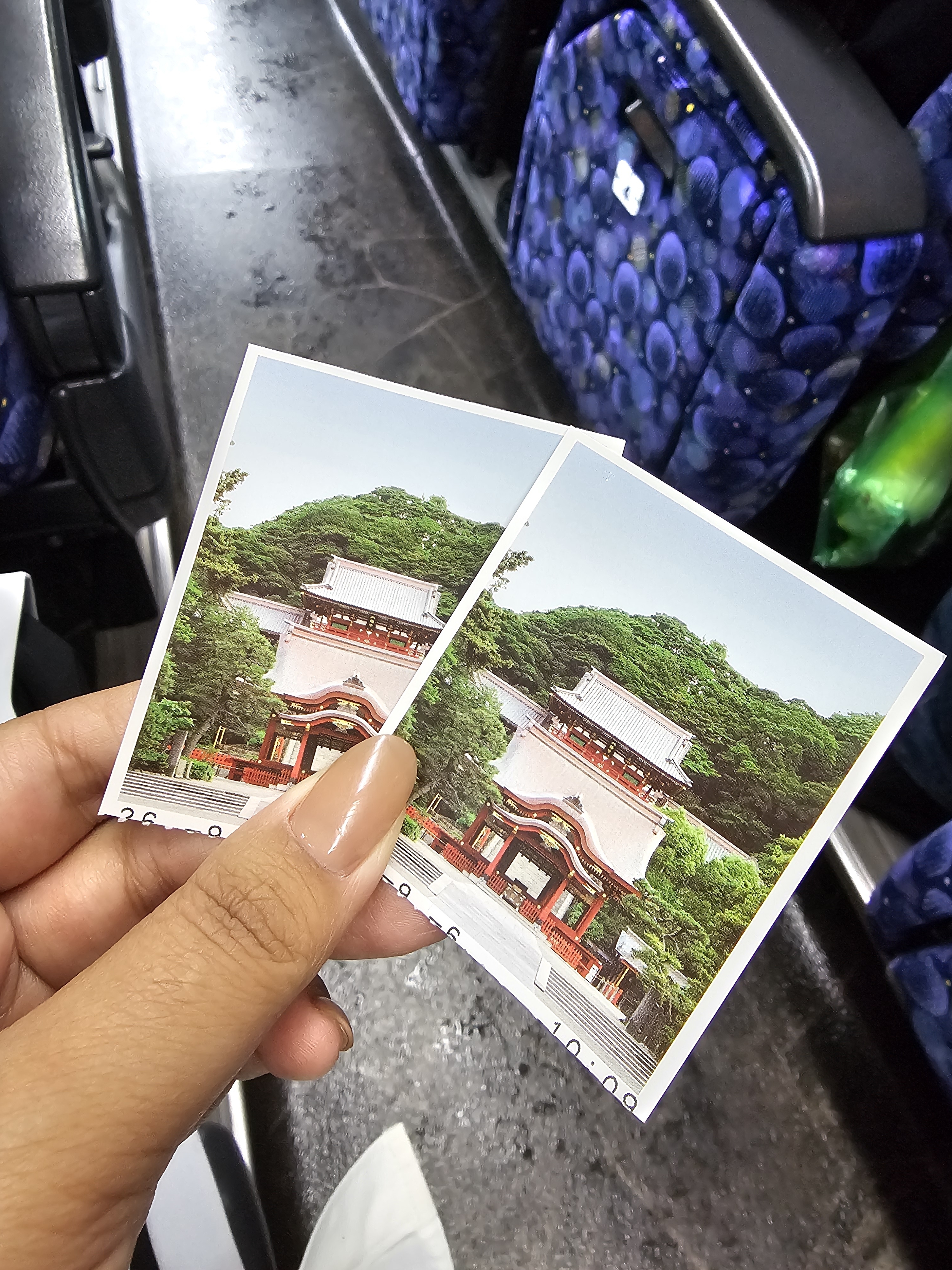 柏市沼南商工会建設部会視察研修で鎌倉・フェリーの旅！雨でも最高に楽しかった！