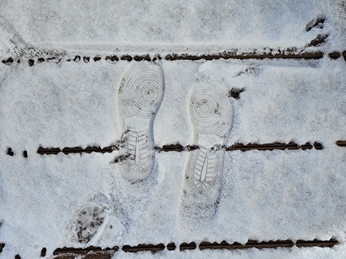 20260209_085751 のコピー.jpg