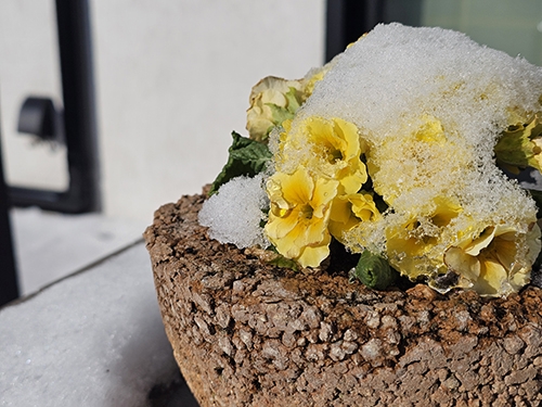 20260209_085804 のコピー.jpg