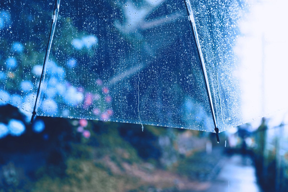 雨の日の楽しみ方