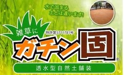 ガチン固